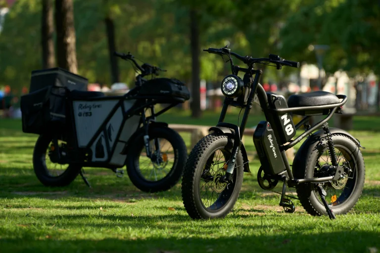 Z8 Electric Bike