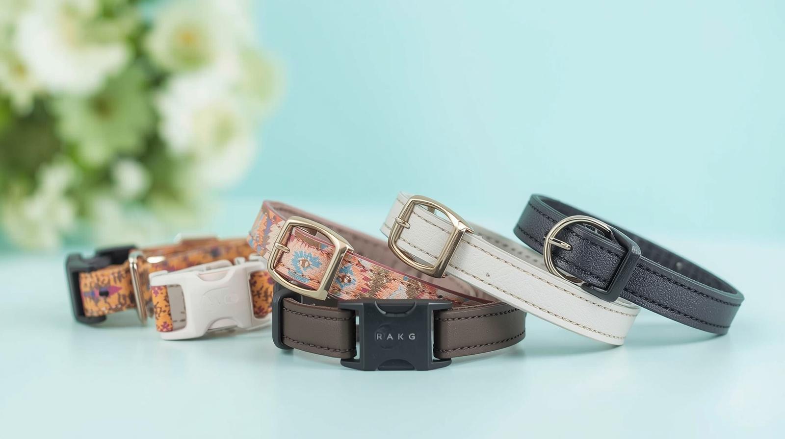 Best Bark Collar for Small Dogs