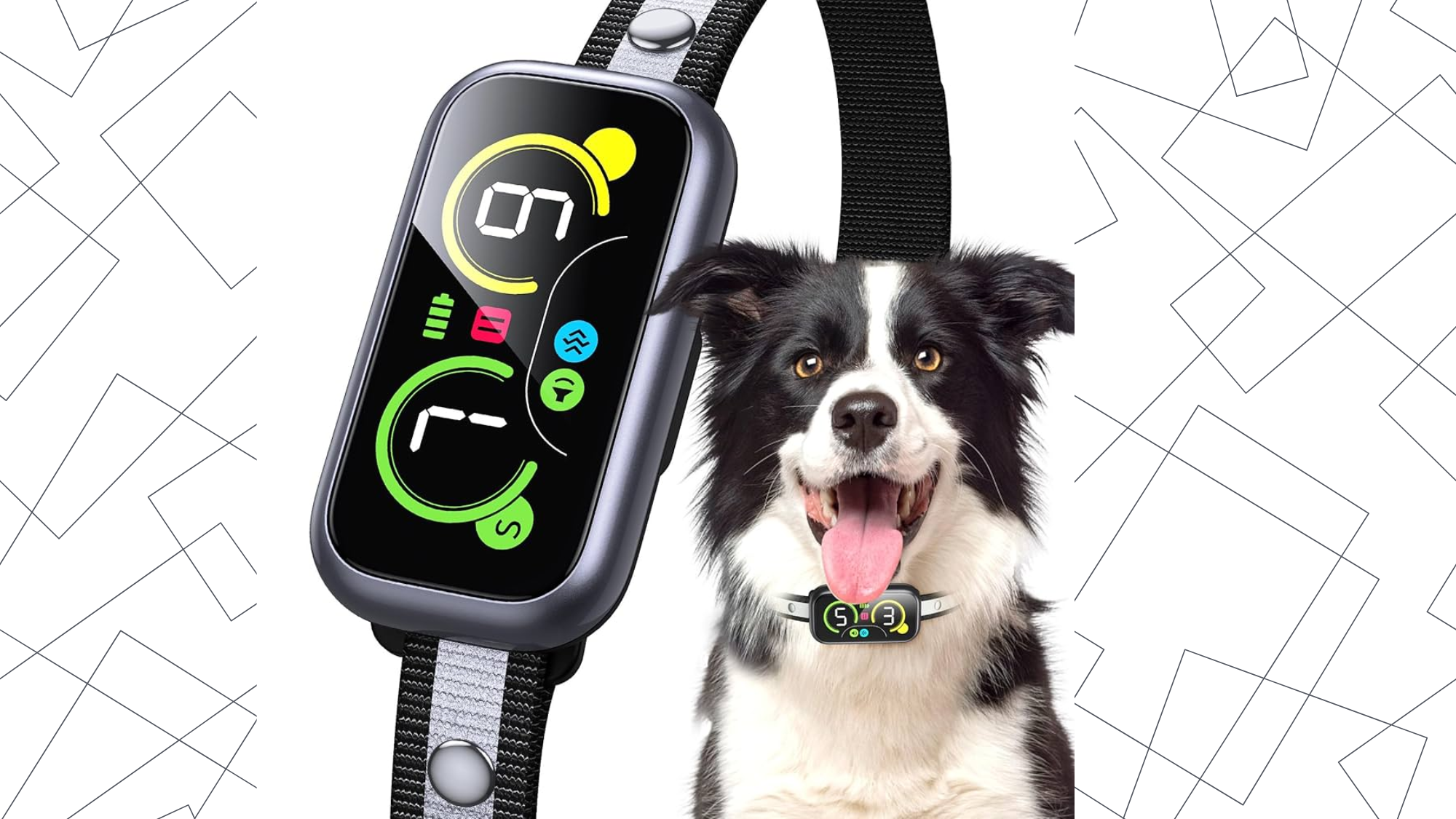 Best Bark Collar for Dogs