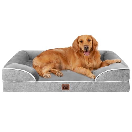 Best Couches for Dogs