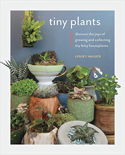 Tiny Plants: Discover the joys of growing and collecting itty-bitty houseplants (English Edition)